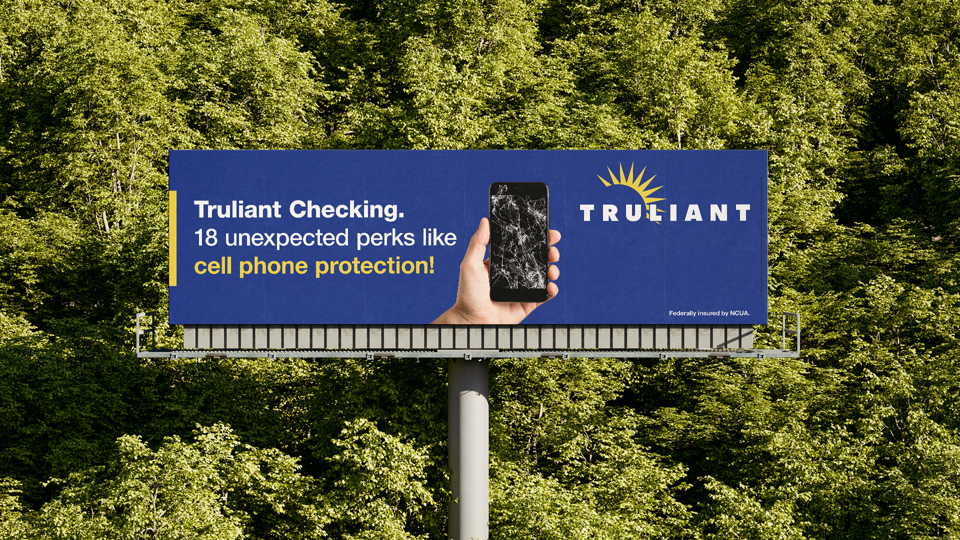 Truliant Federal Credit Union Essentials Plus Cell Phone Protection OOH